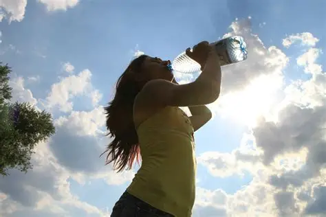 ¿Qué pasa en tu cuerpo cuando tomas agua? | Descúbrelo con AWA